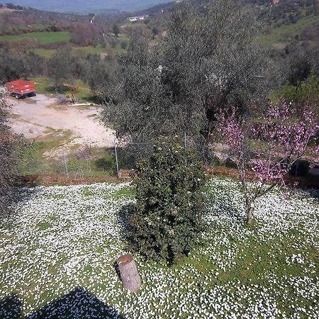 Agriturismo Norianino 몬테메라노 외부 사진