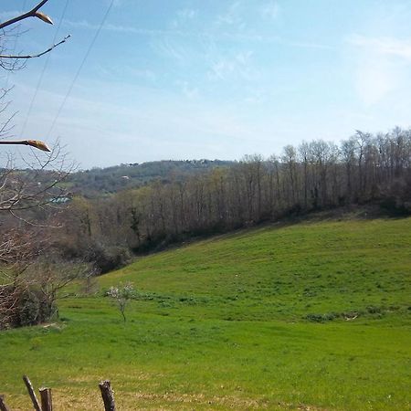 Agriturismo Norianino 몬테메라노 외부 사진