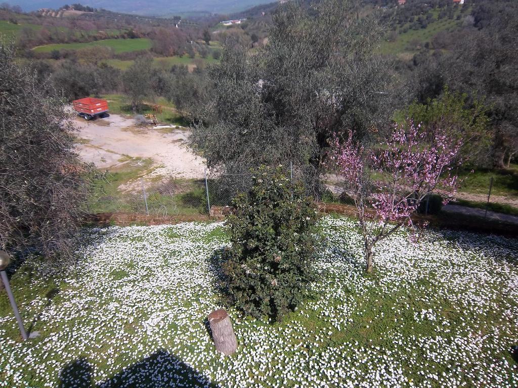 Agriturismo Norianino 몬테메라노 외부 사진