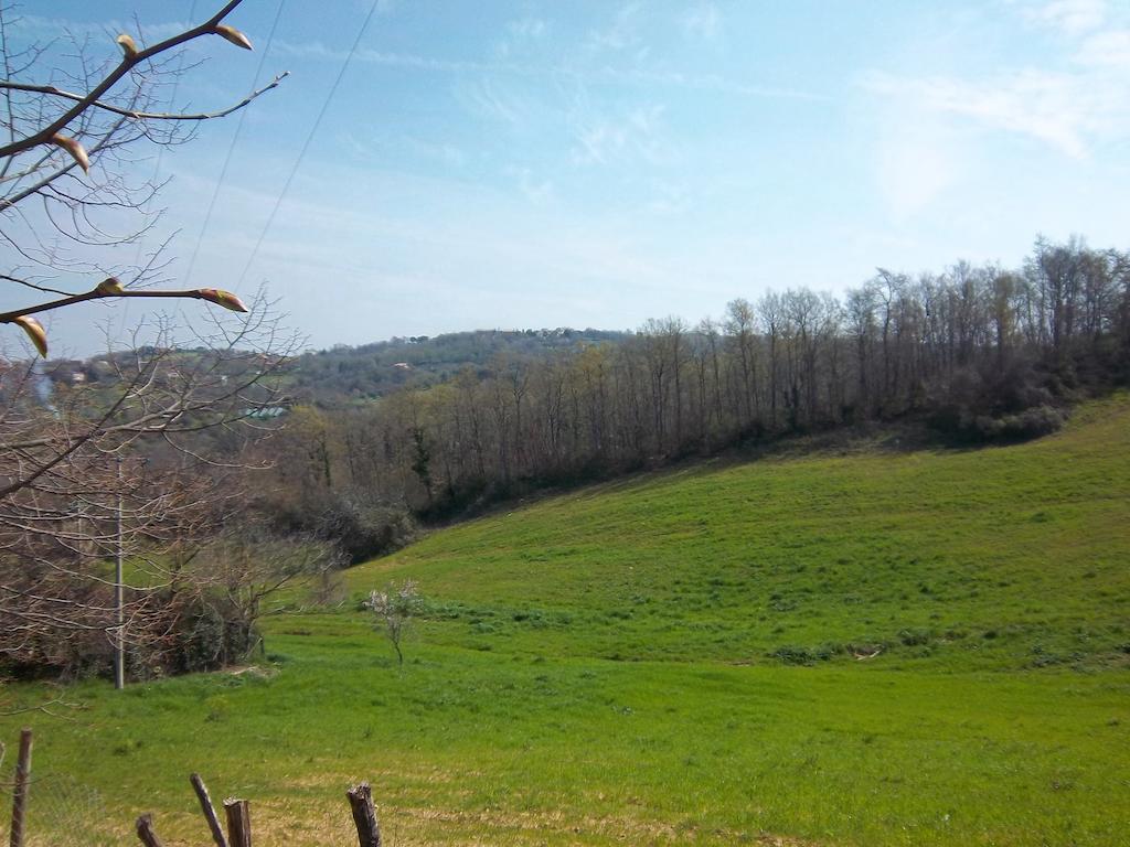 Agriturismo Norianino 몬테메라노 외부 사진
