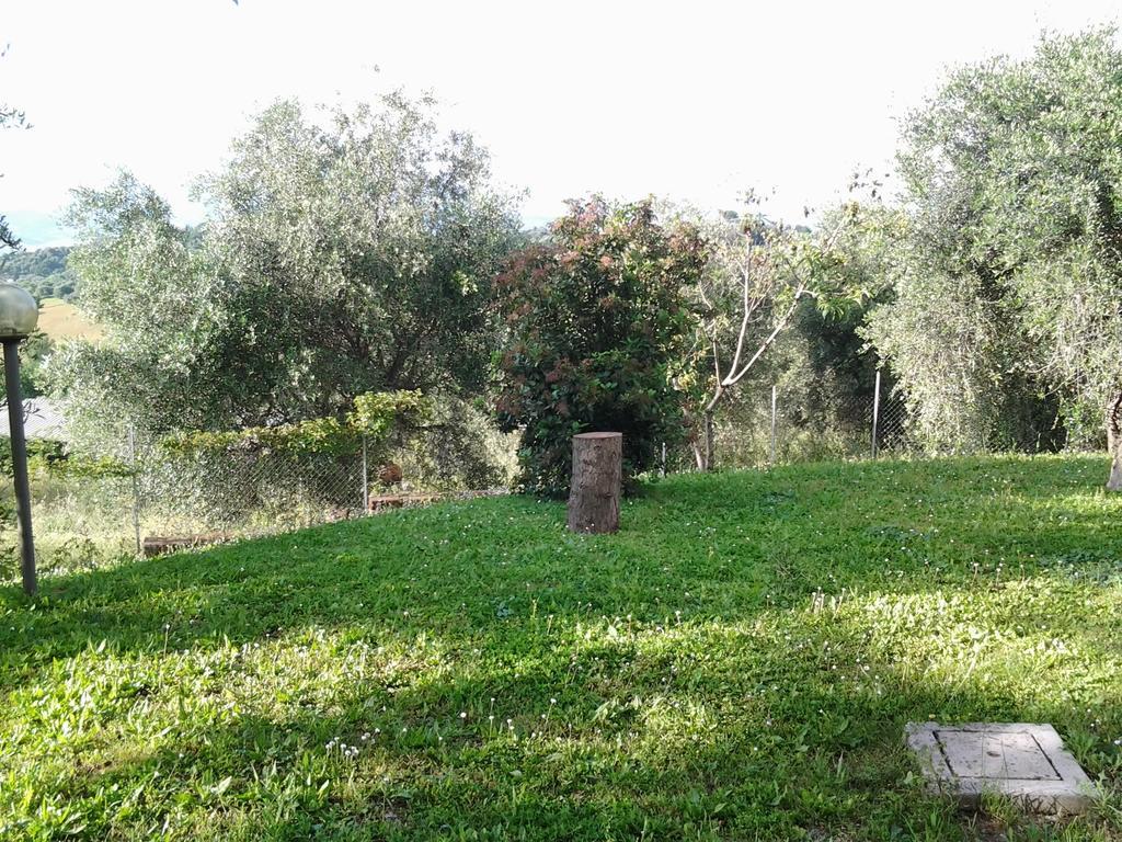 Agriturismo Norianino 몬테메라노 외부 사진