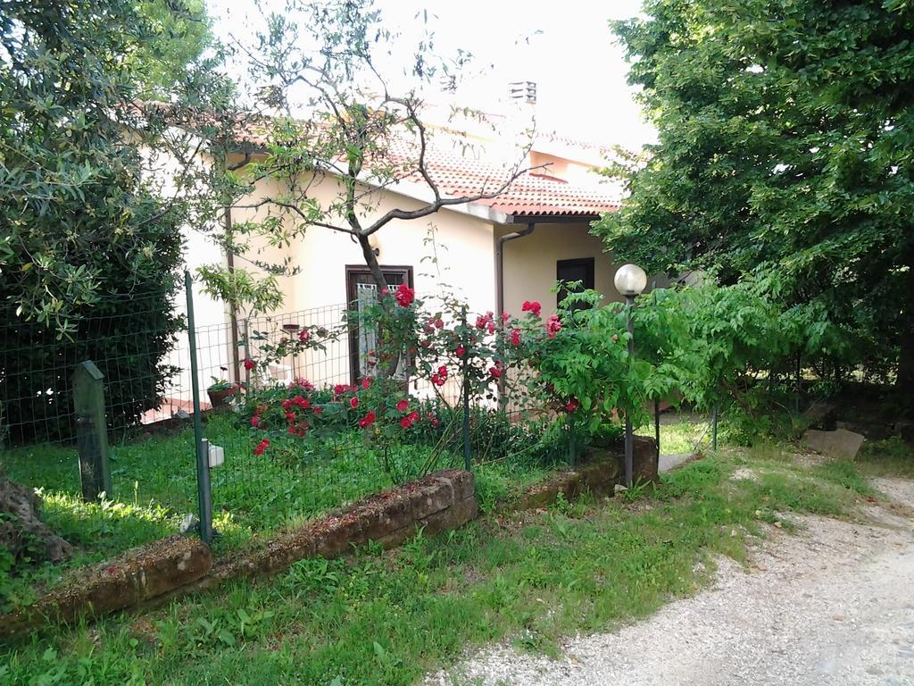 Agriturismo Norianino 몬테메라노 외부 사진